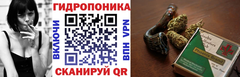 сайты даркнета официальный сайт  Тобольск  Бошки Шишки тримм 